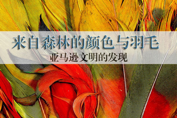 亚马逊文明的发现 来自森林的颜色与羽毛